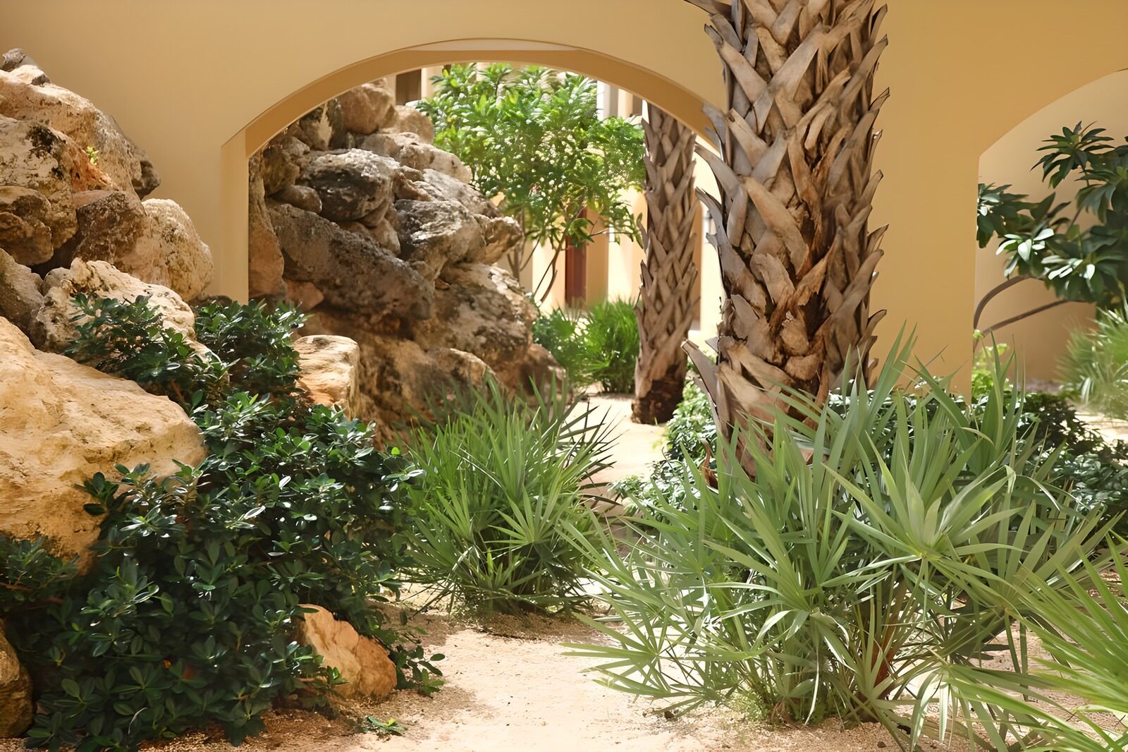 OCCOM5867223: Tranquil Garden Pathway