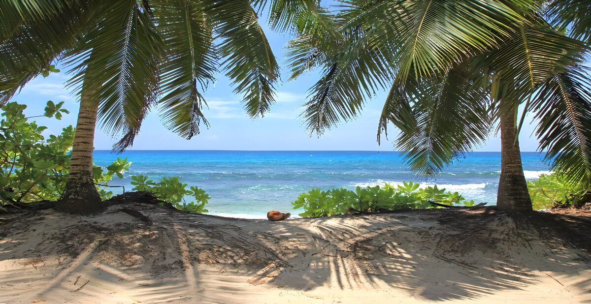 OCCOM8558805: Tropical Paradise by the Ocean