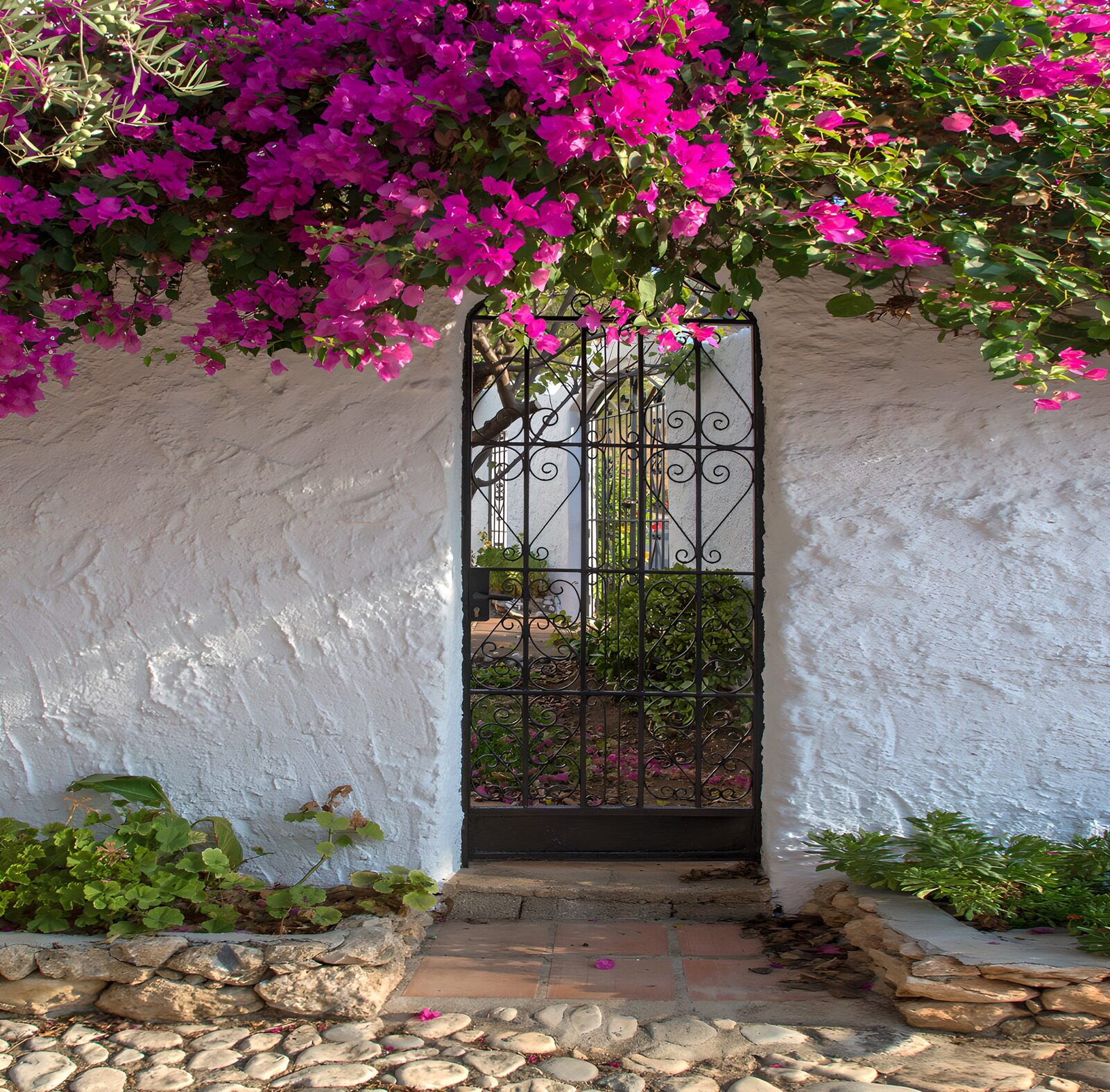 OCCOM5377188: Vibrant Gateway to Serenity