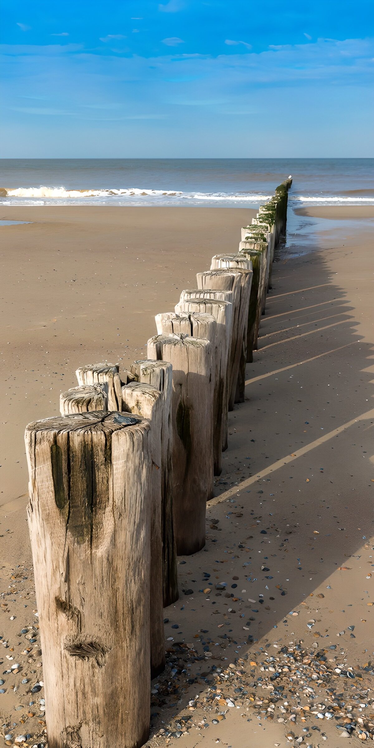 OCCOM4245353: Wooden Posts by the Shoreline