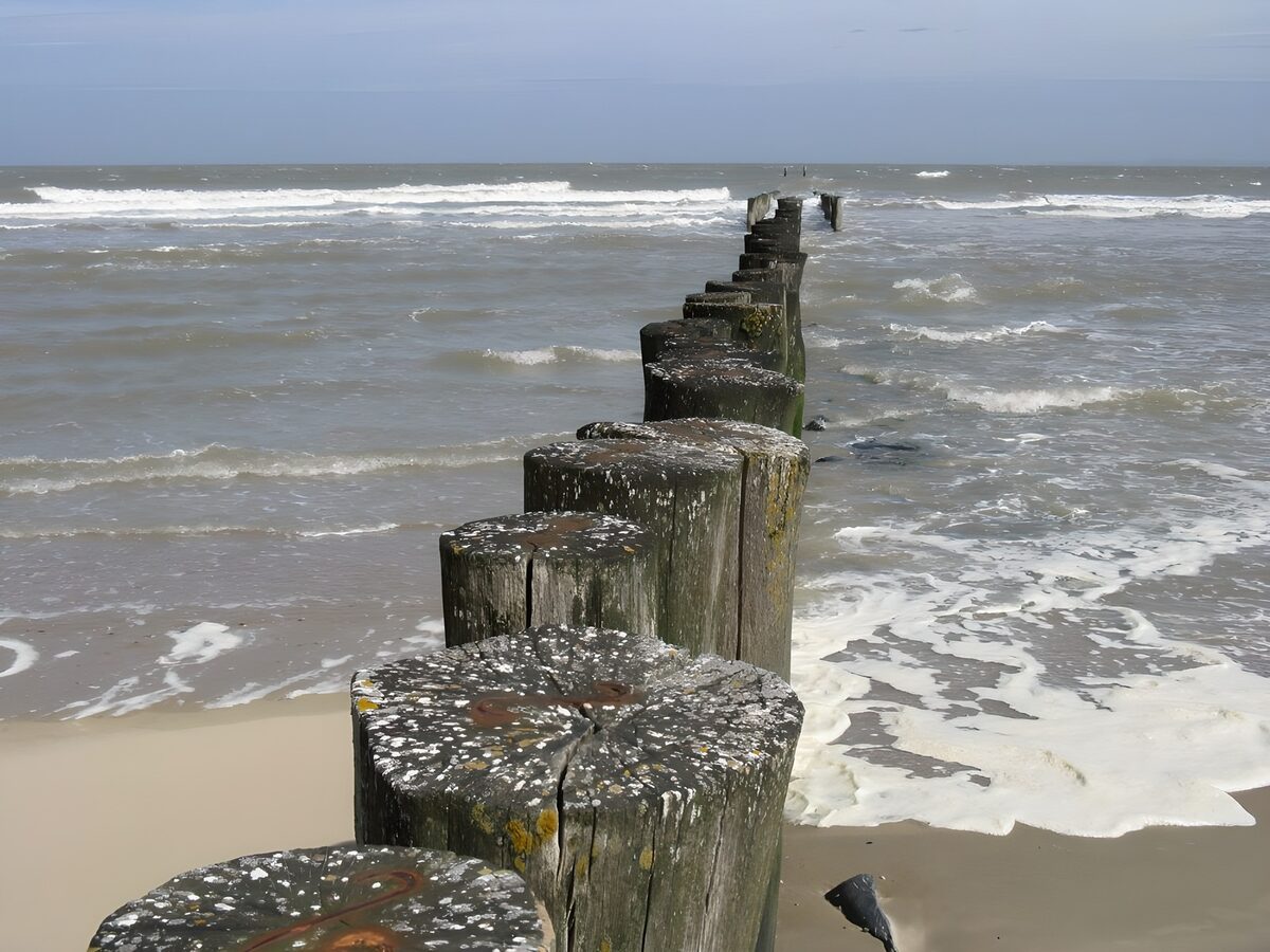 OCCOM9871237: Lost on the Shoreline
