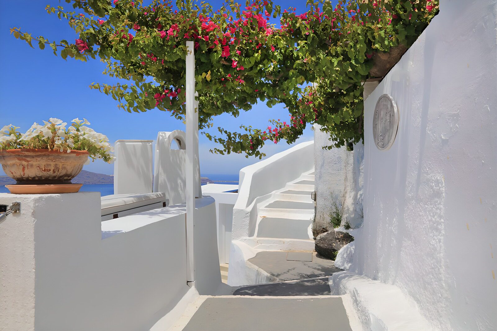 OCCOM3974556: Tranquil Pathway Through Whitewashed Walls