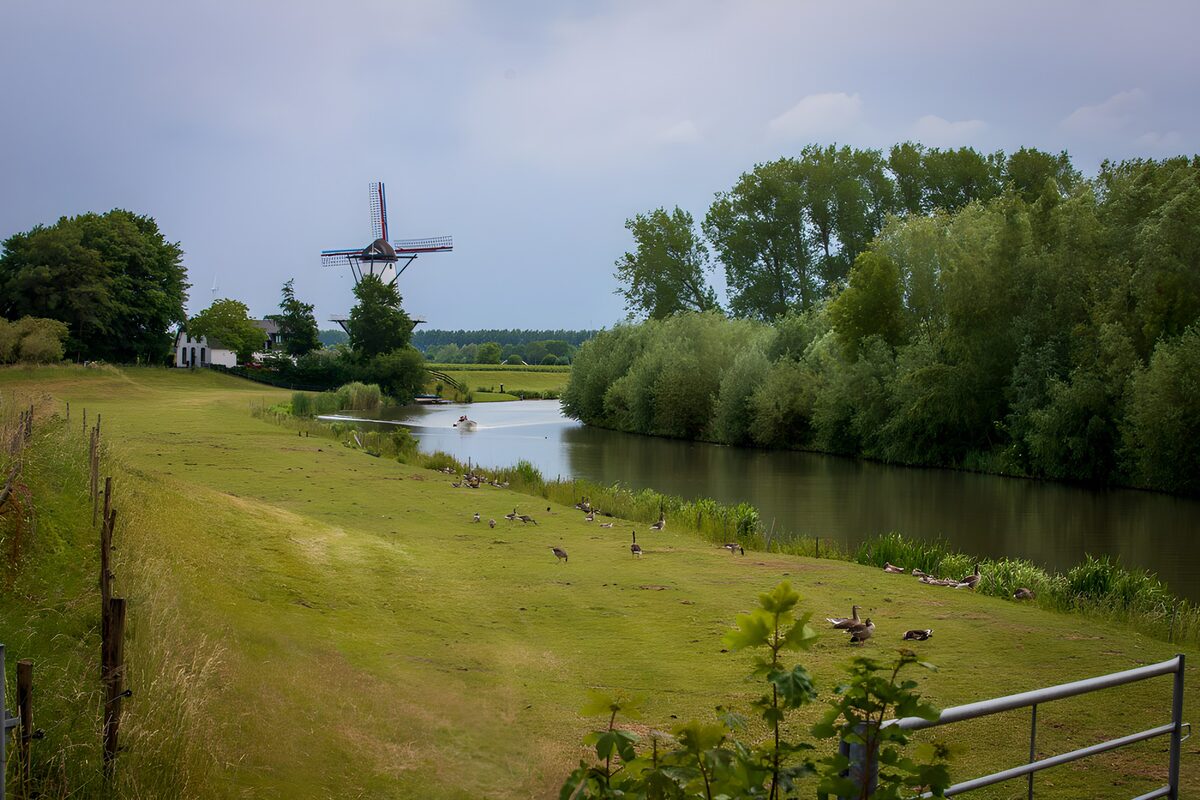 OCCOM1884351: Tranquil Countryside Scene with Windmill