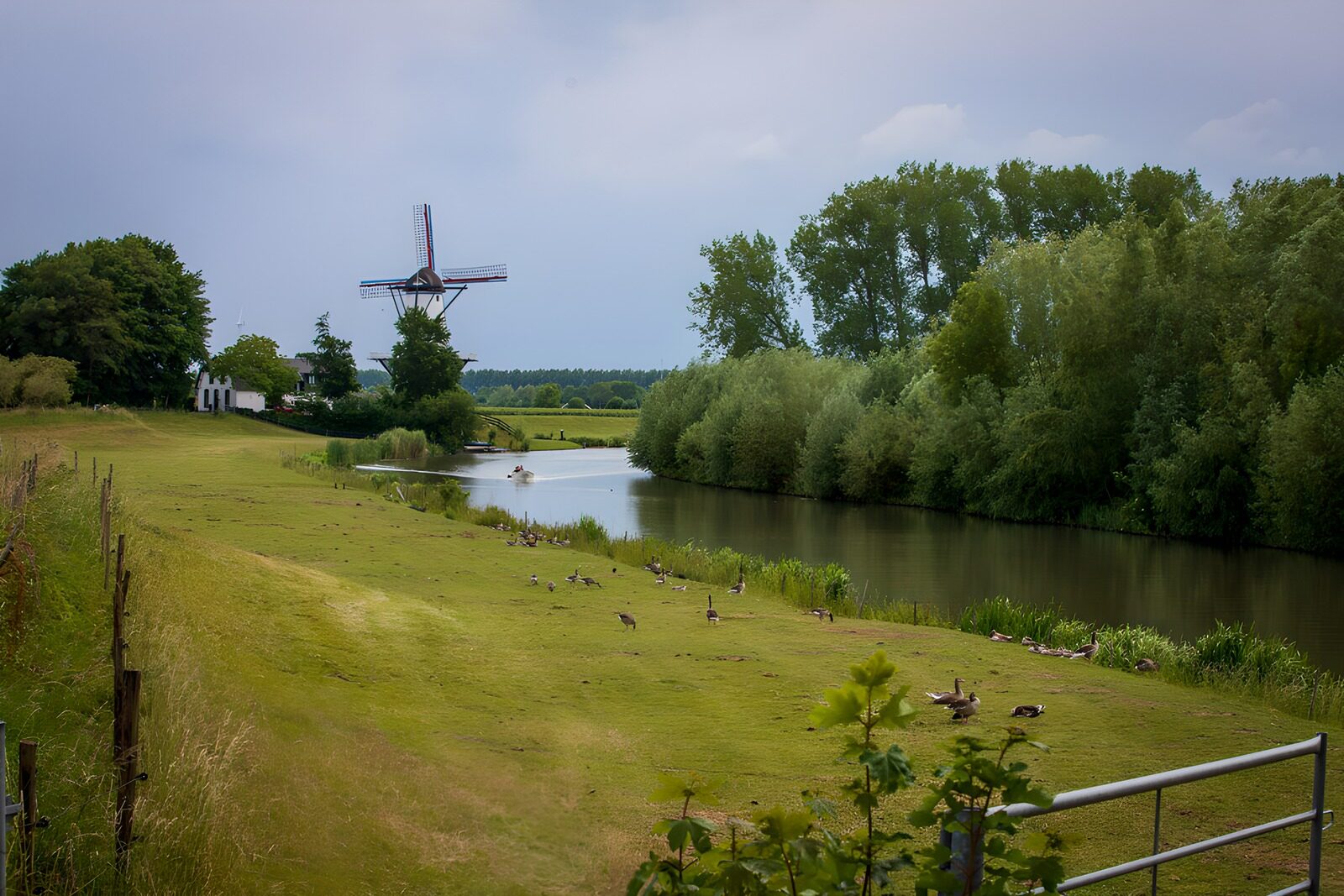 OCCOM1884351: Tranquil Countryside Scene with Windmill