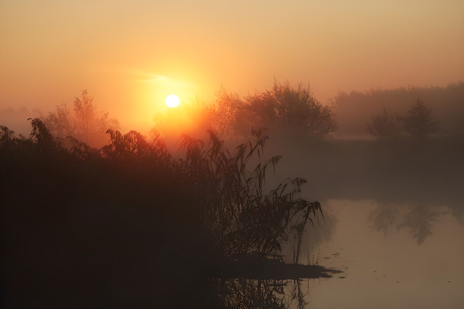 OCCOM8885600: Serene Sunrise Over Misty Waters