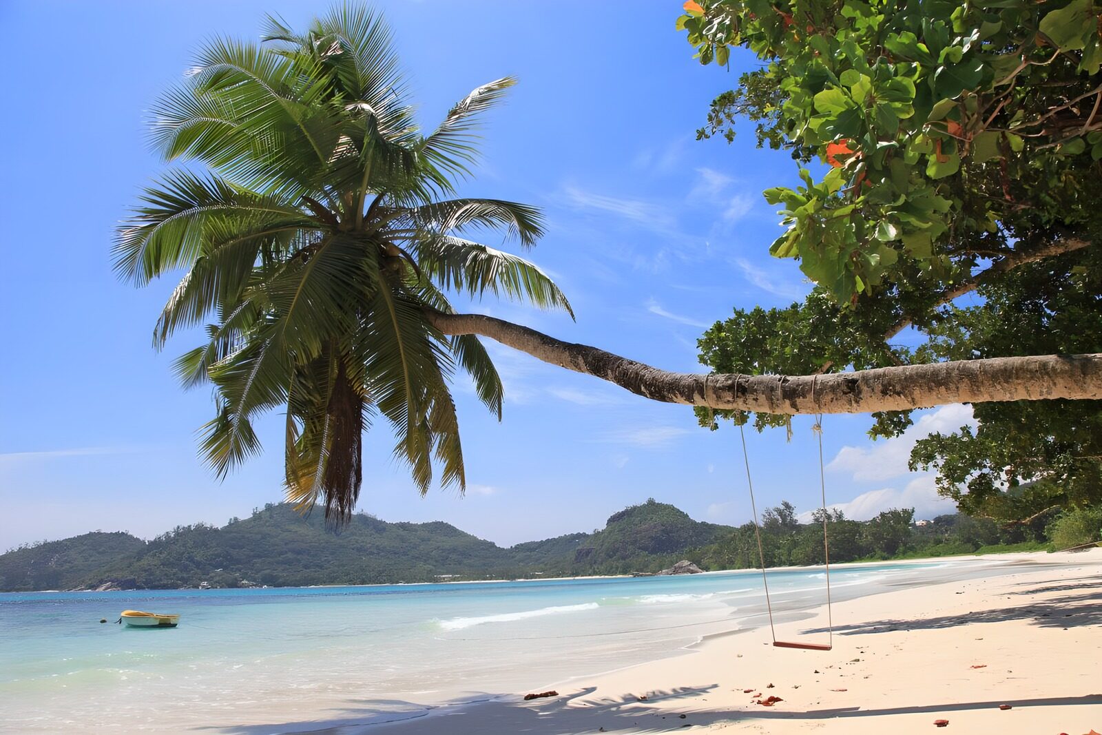 OCCOM3557502: Tropical Paradise with Swing