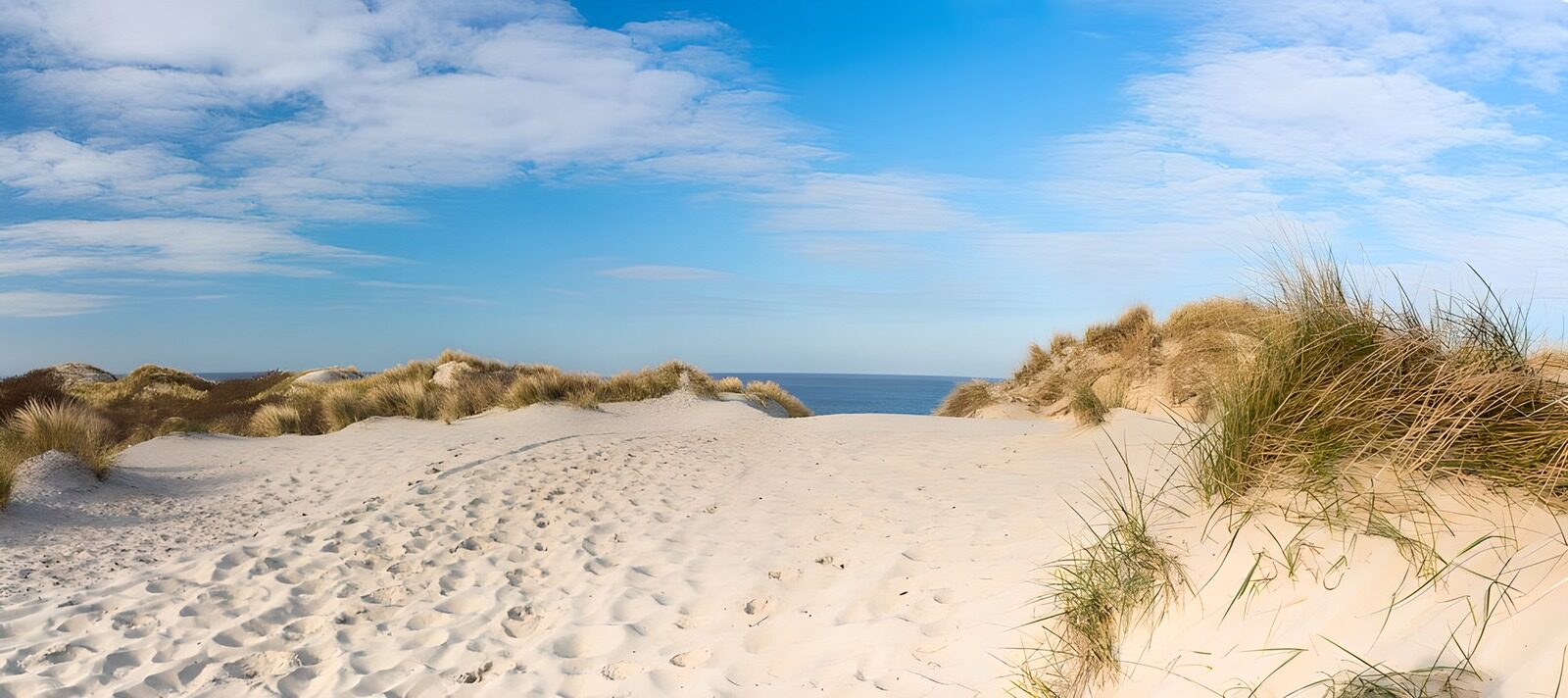 OCCOM9910998: Serene Beach Pathway
