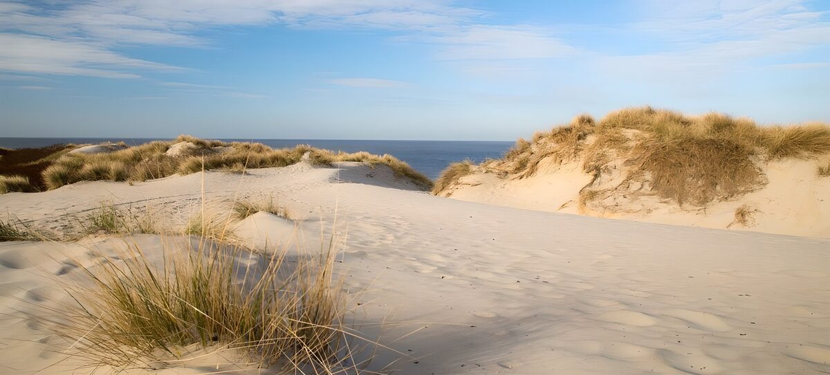 OCCOM5647301: Serene Coastal Dunes and Ocean View