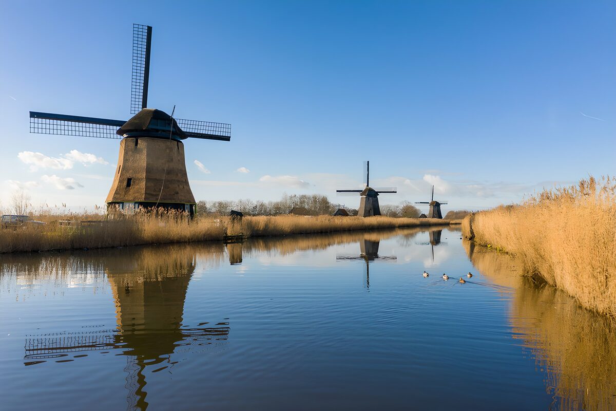 OCCOM5958204: Tranquil Windmills by the Water
