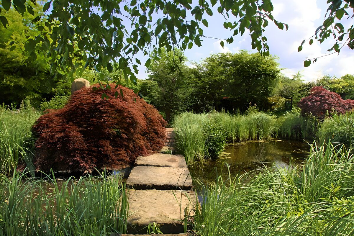 OCCOM9337000: Tranquil Garden Oasis