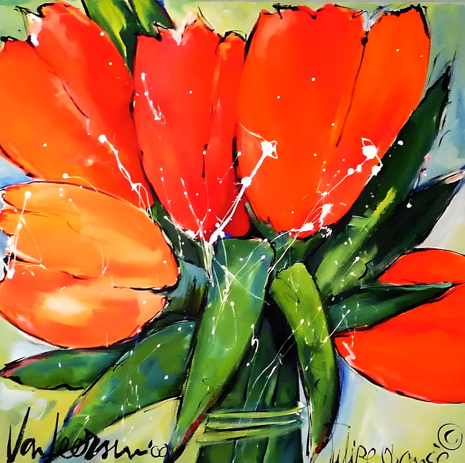 OCCOM2236849: Vibrant Red Tulips in Bloom