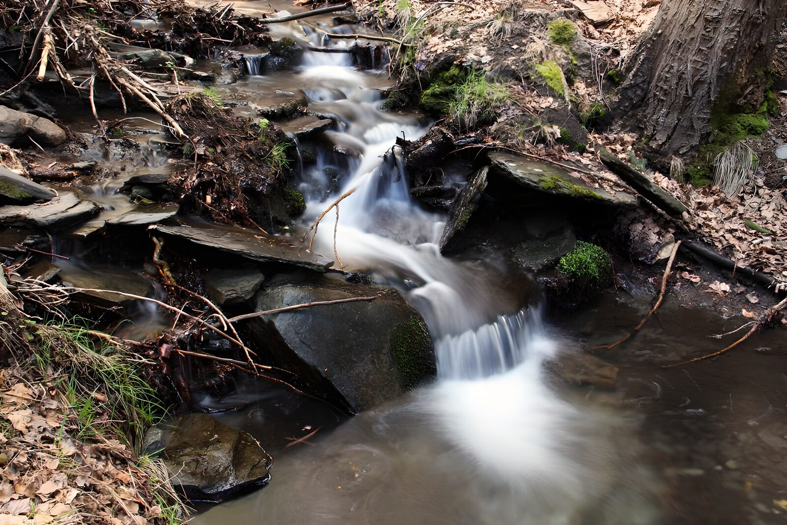 OCCOM4541145: Tranquil Stream Flowing Through Rocks