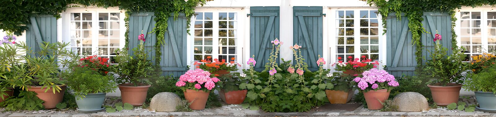 OCCOM4489148: Colorful Flower Pots by the Window