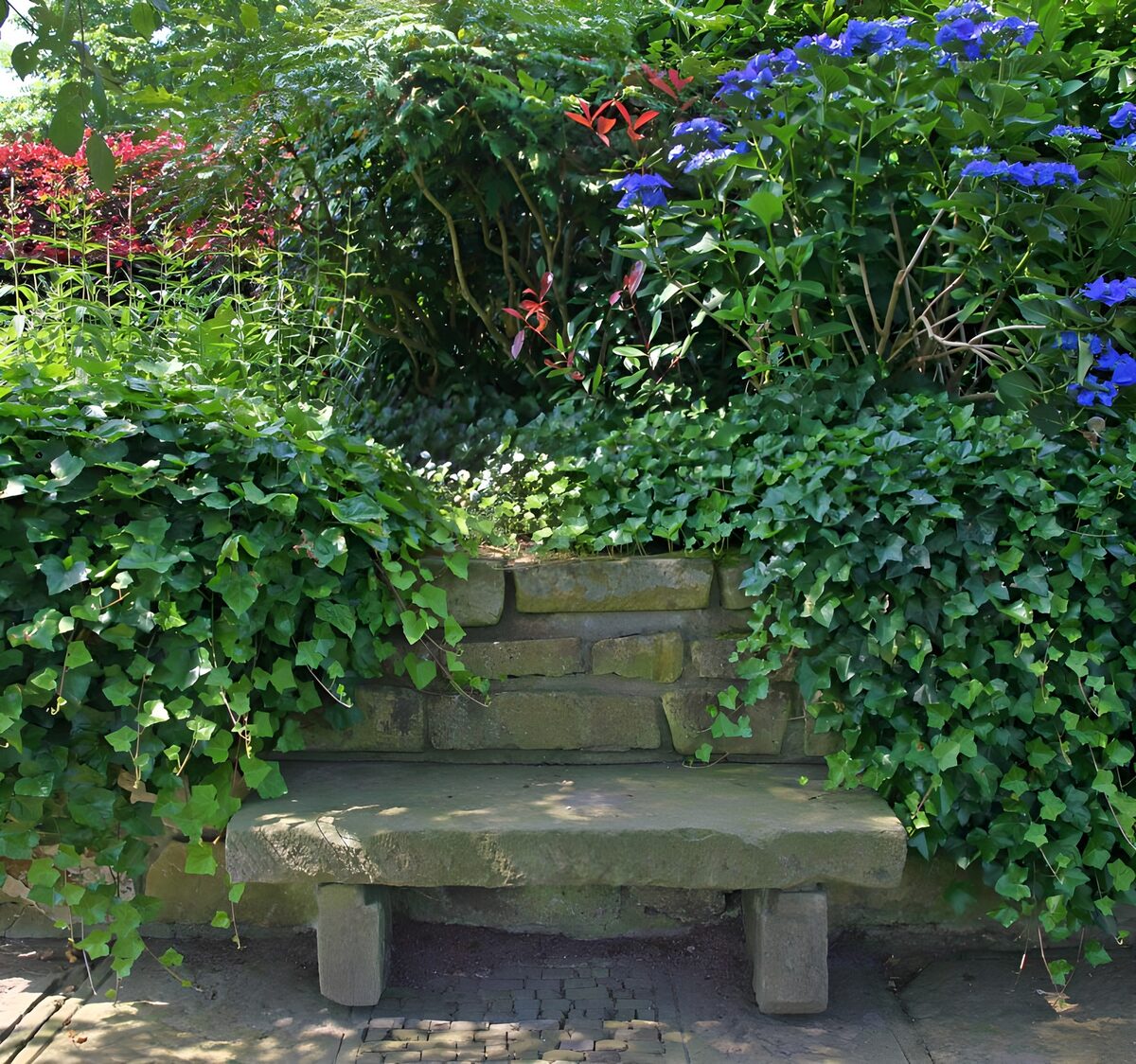 OCCOM4868553: Tranquil Garden Bench Amidst Blossoms