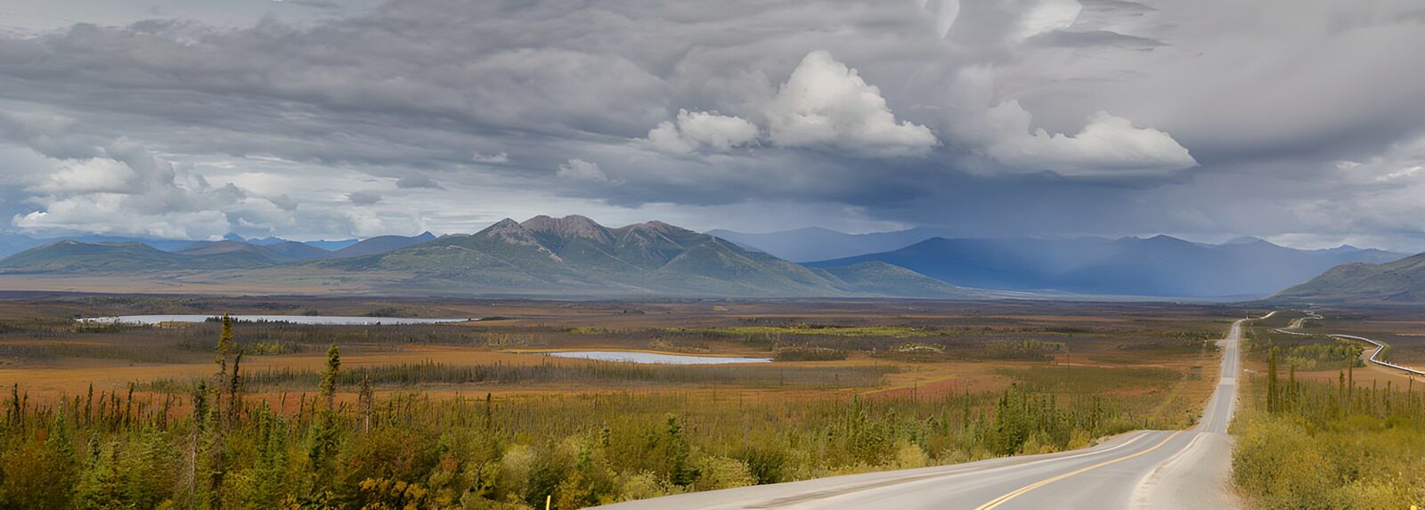 OCCOM8954752: Scenic Road through Wilderness Landscape