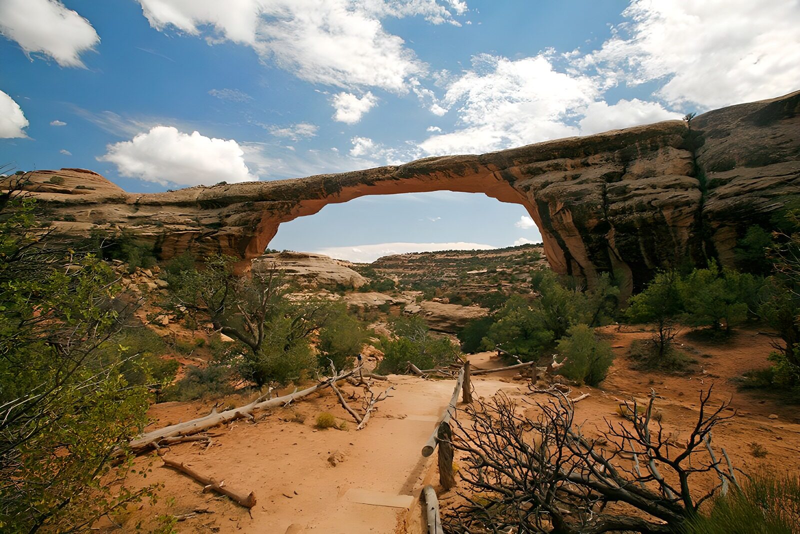 OCCOM3304897: Natural Stone Arch in Scenic Landscape