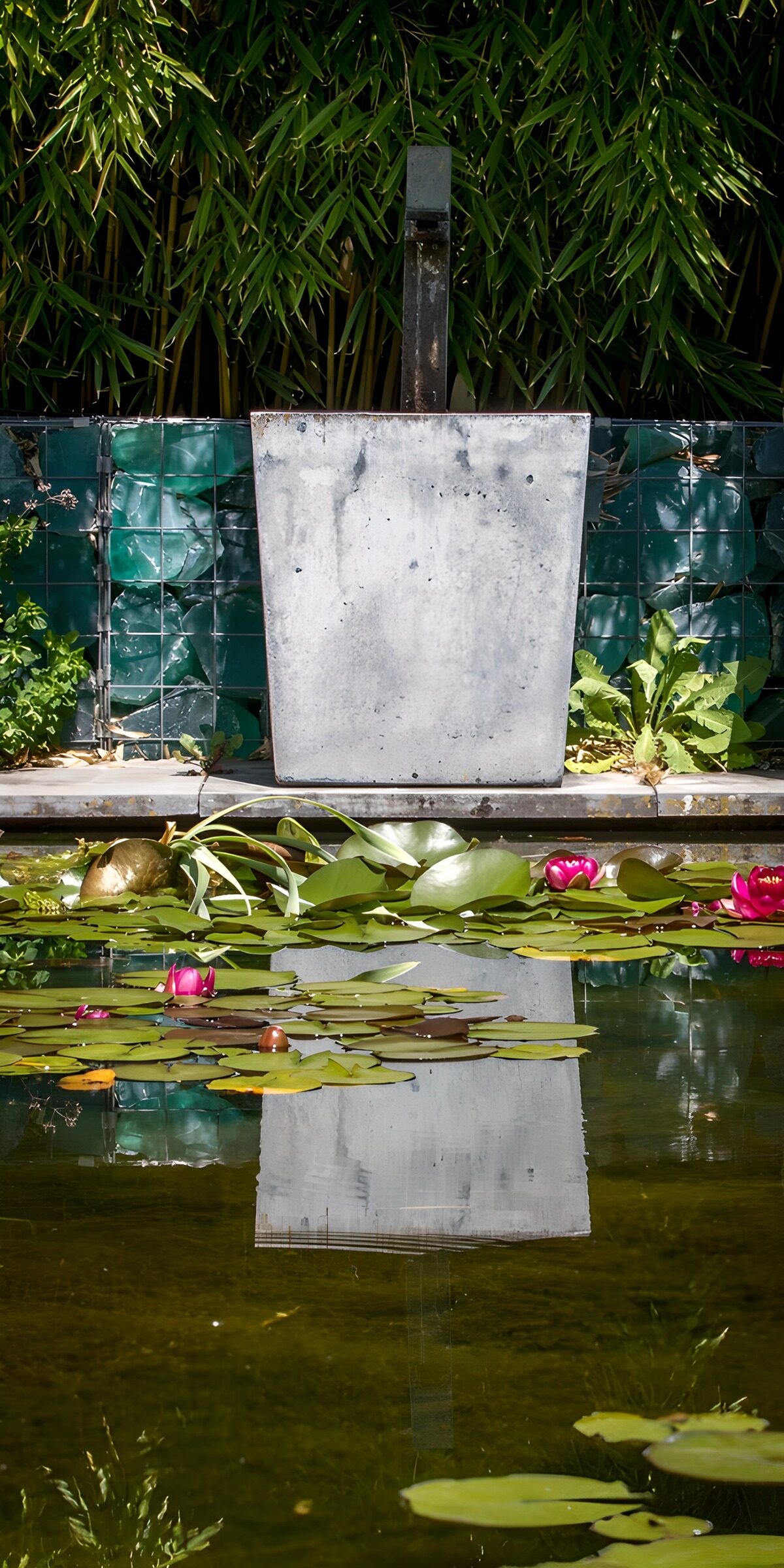 OCCOM3943401: Tranquil Reflection in a Garden Pond