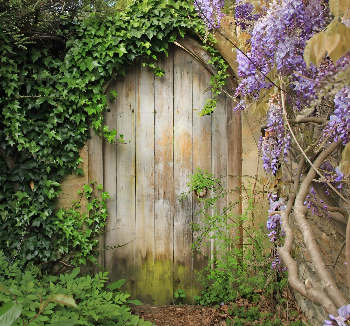 OCCOM6936686: Enchanted Garden Gate