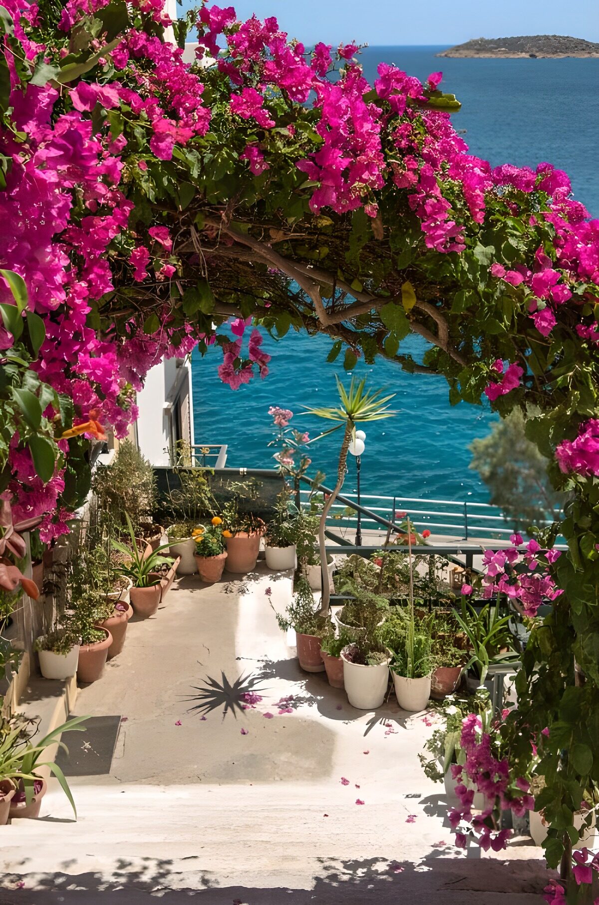 Serene Coastal Garden Pathway
