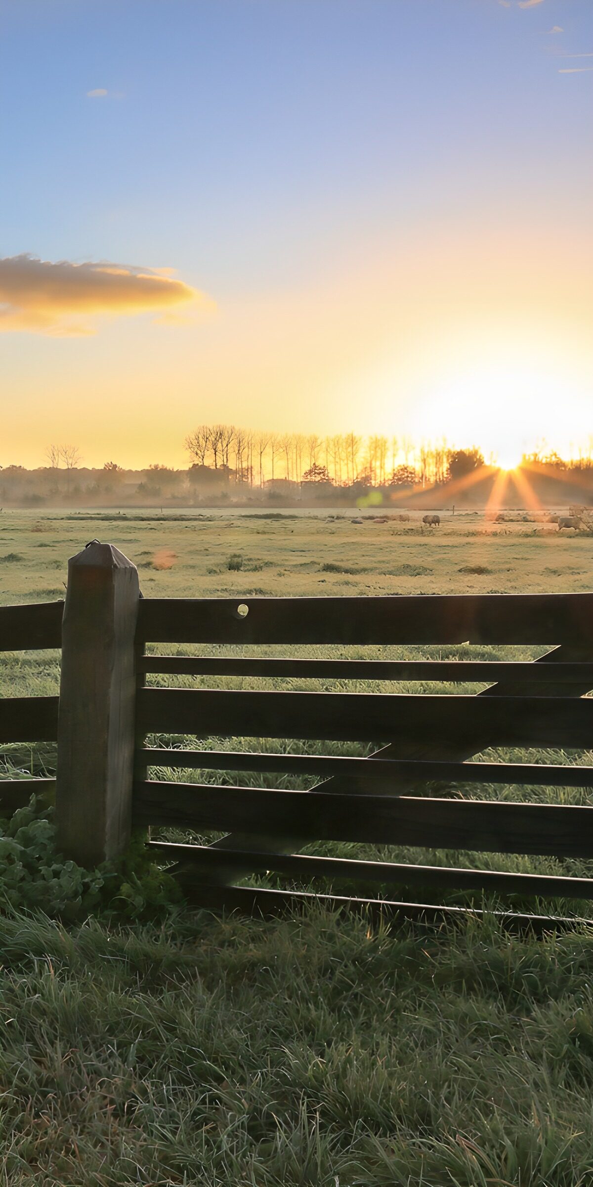 Serene Sunrise Over Pastoral Landscape
