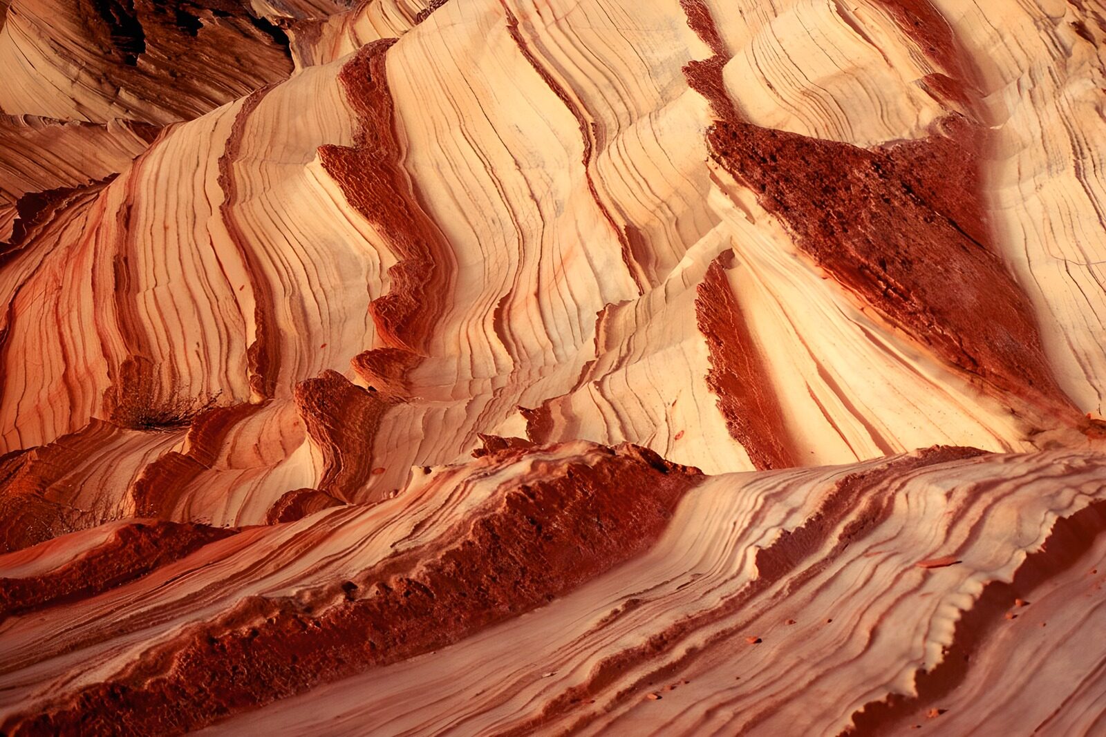 OCCOM2965181: Striking Layers of Eroded Rock Formation