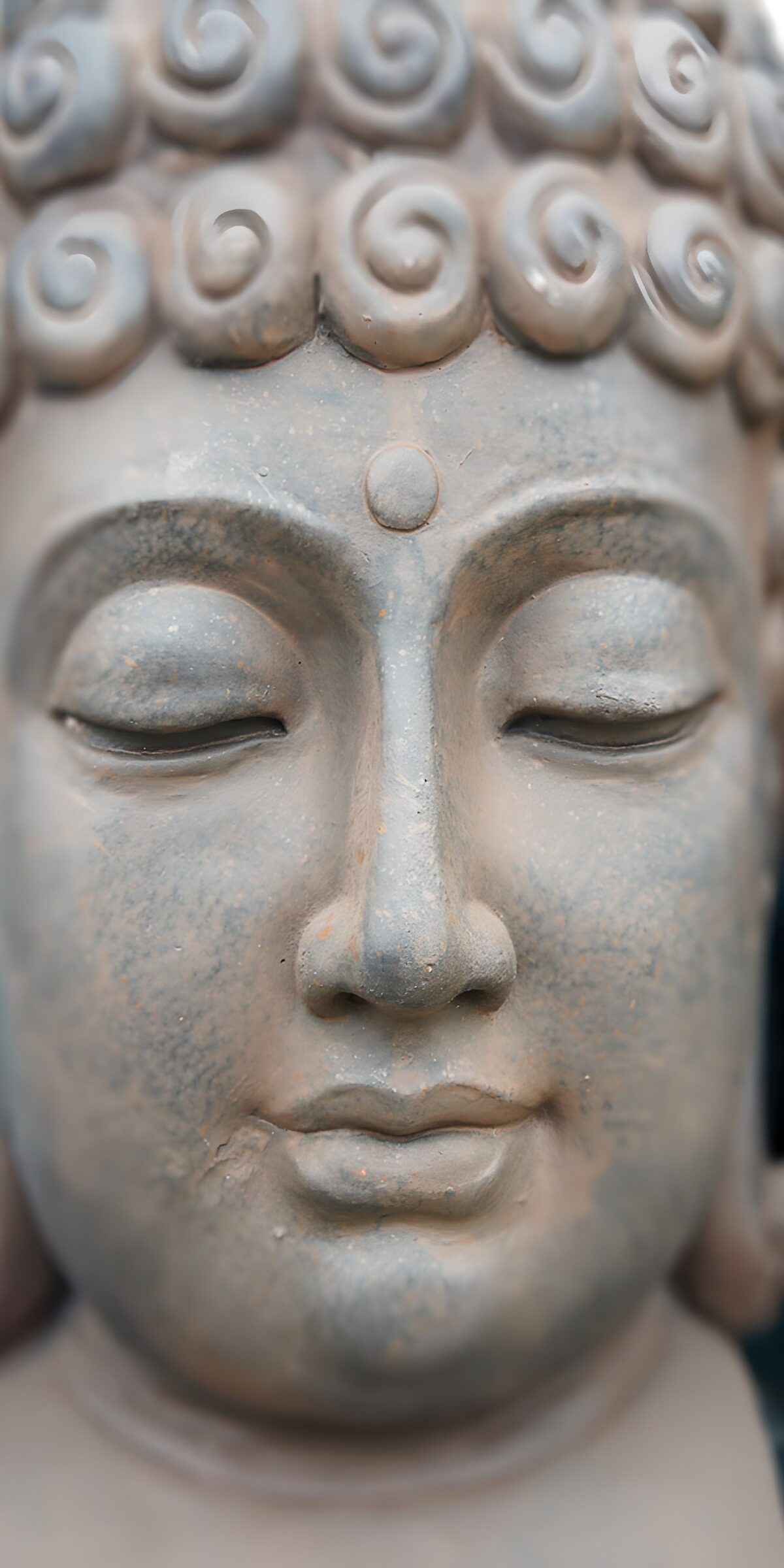 OCCOM9021693: Serene Buddha Sculpture
