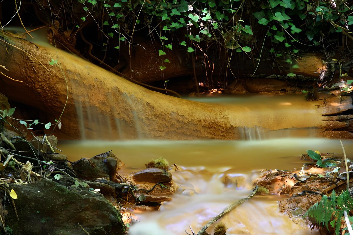 Serene Flow of Golden Water