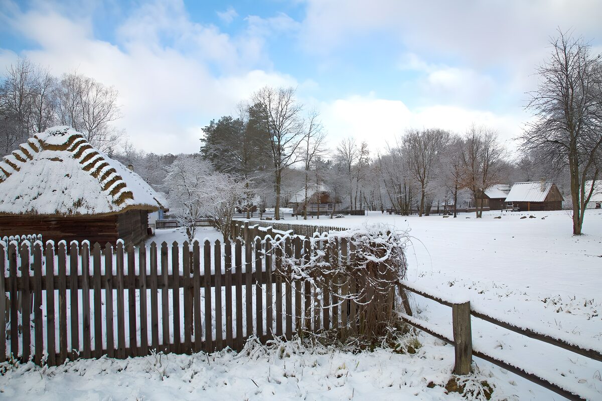 Winter Serenity in a Snowy Landscape