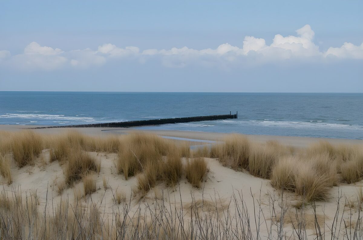 OCCOM2268272: Tranquil Beach Landscape