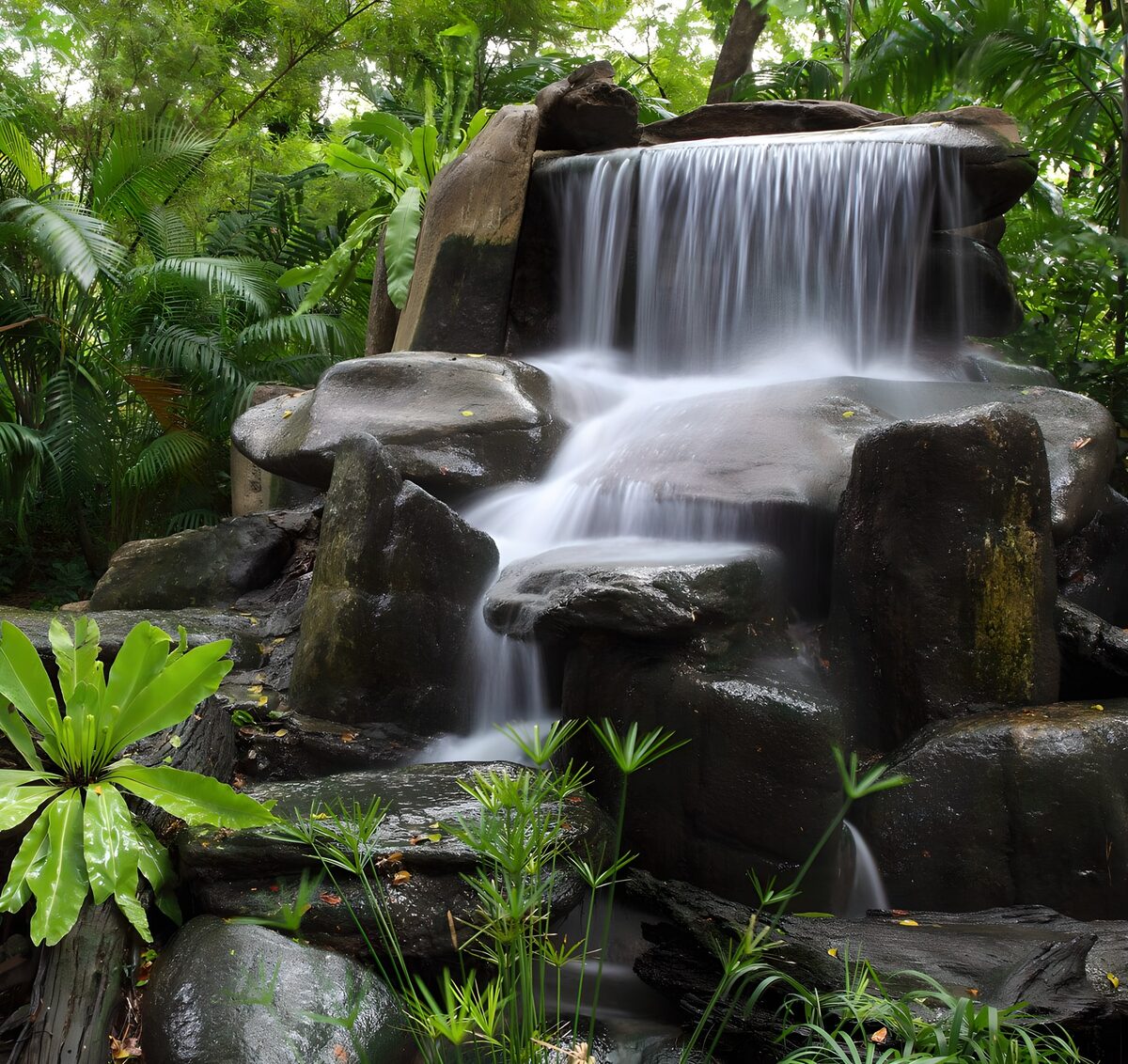 Serene Jungle Waterfall