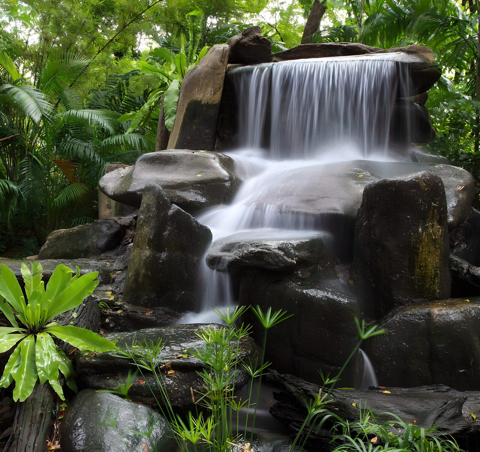 OCCOM9167630: Serene Jungle Waterfall