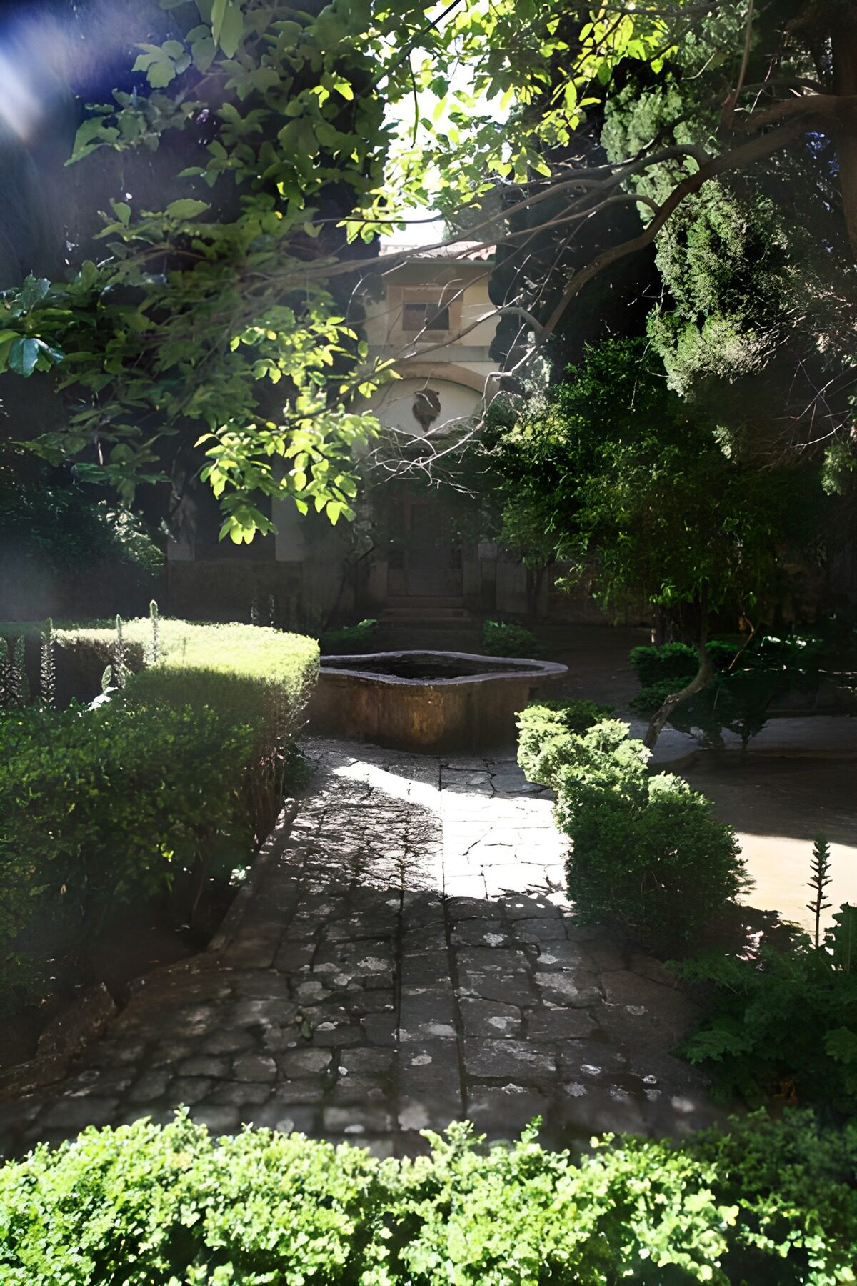 Serenity in a Sunlit Garden