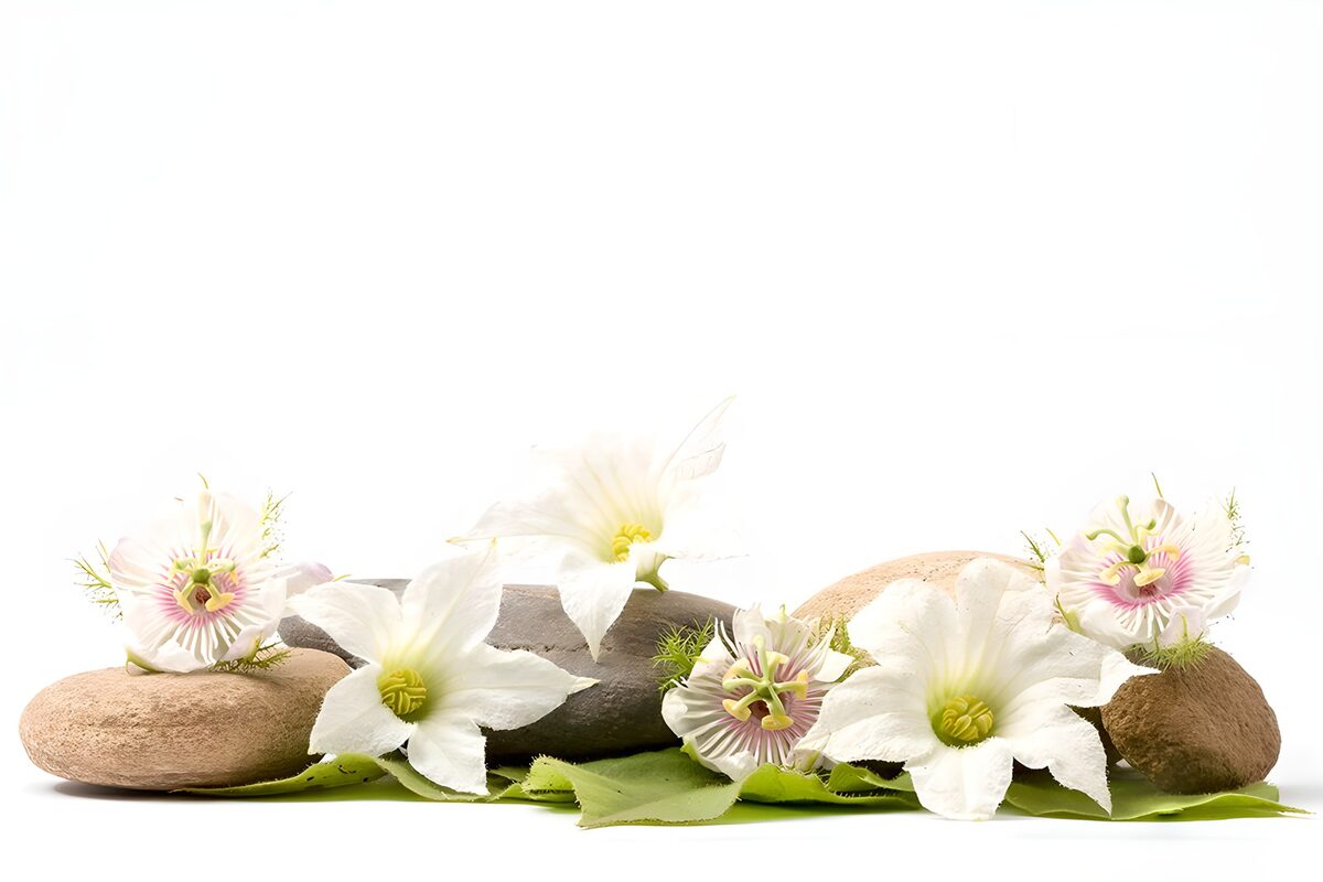 Serene Floral Arrangement with Stones