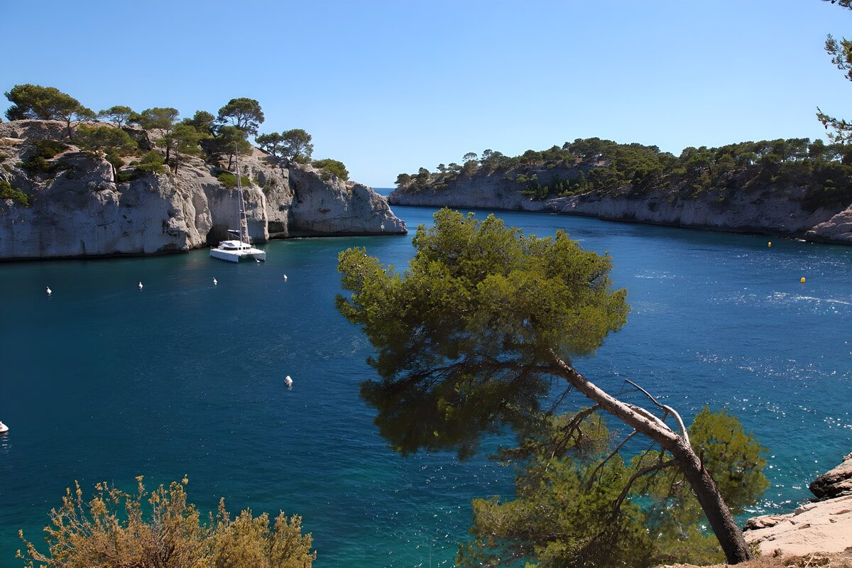 Serene Cove with Sailboat