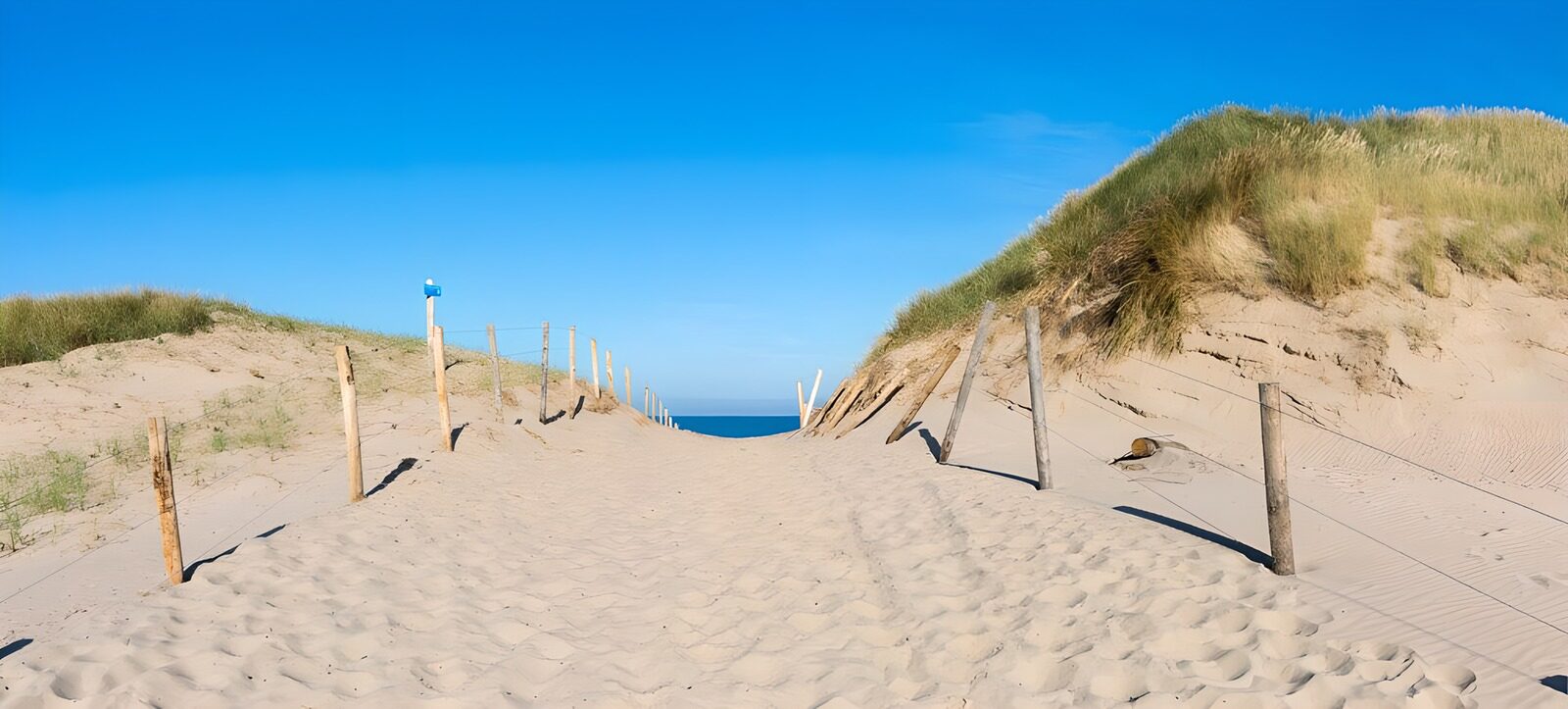 OCCOM7714702: Tranquil Beach Pathway