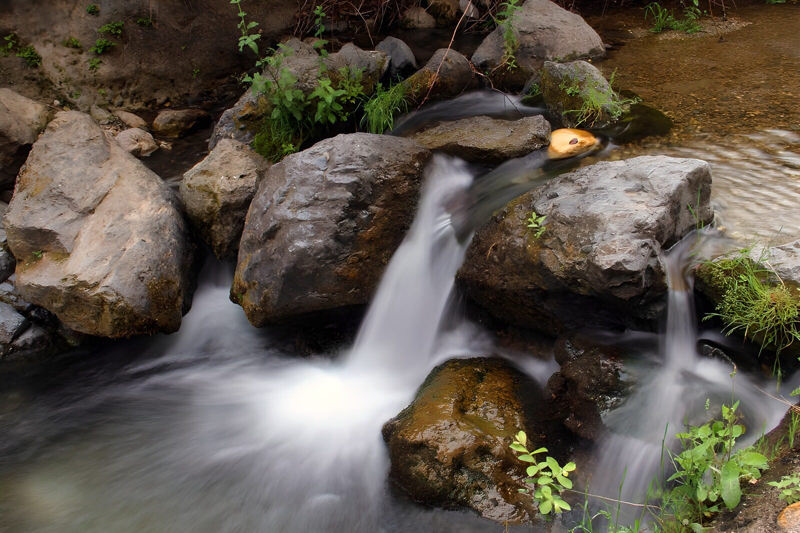 OCCOM6380287: Serene Stream Over Rocky Bed