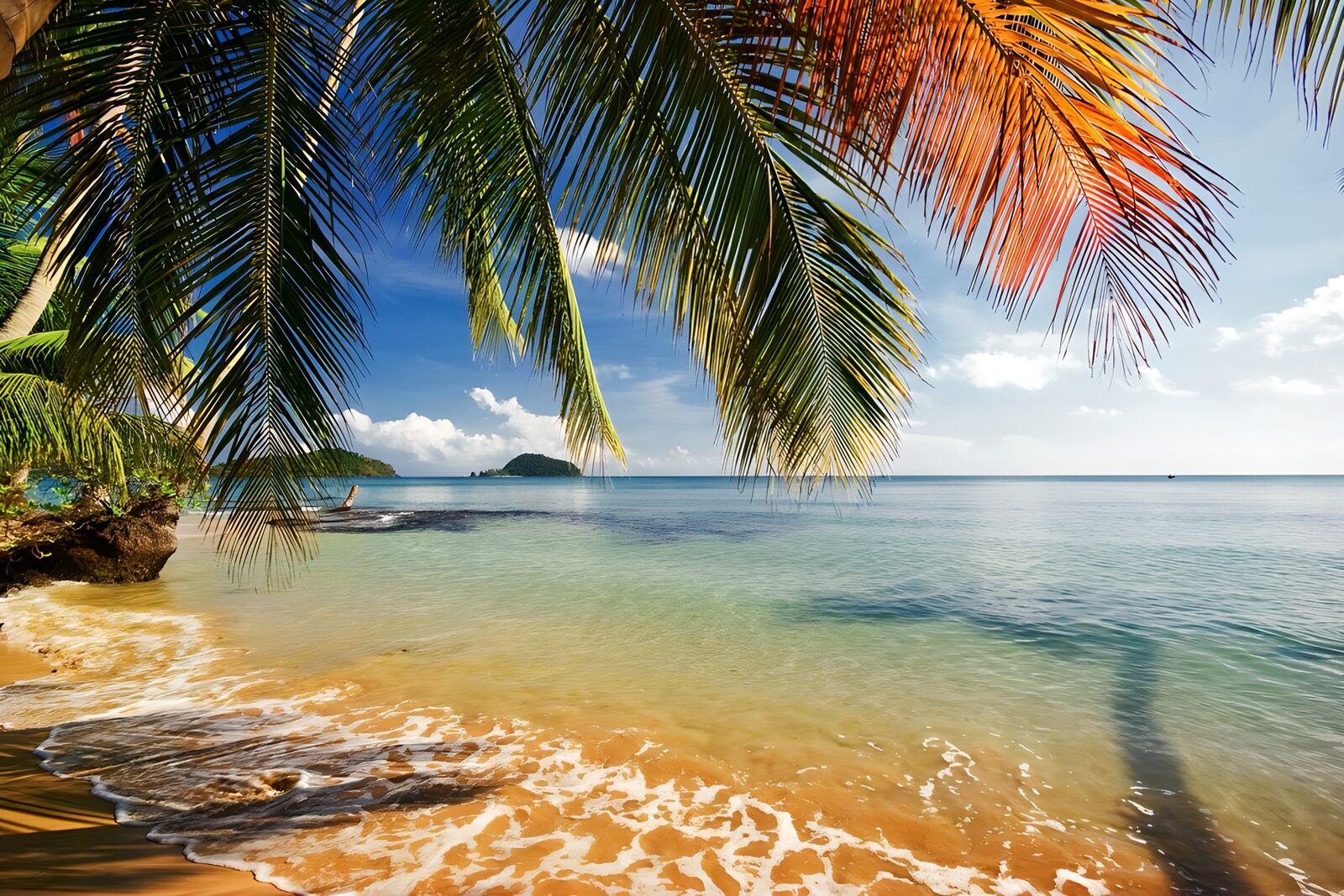 OCCOM5468459: Serene Tropical Beach Escape