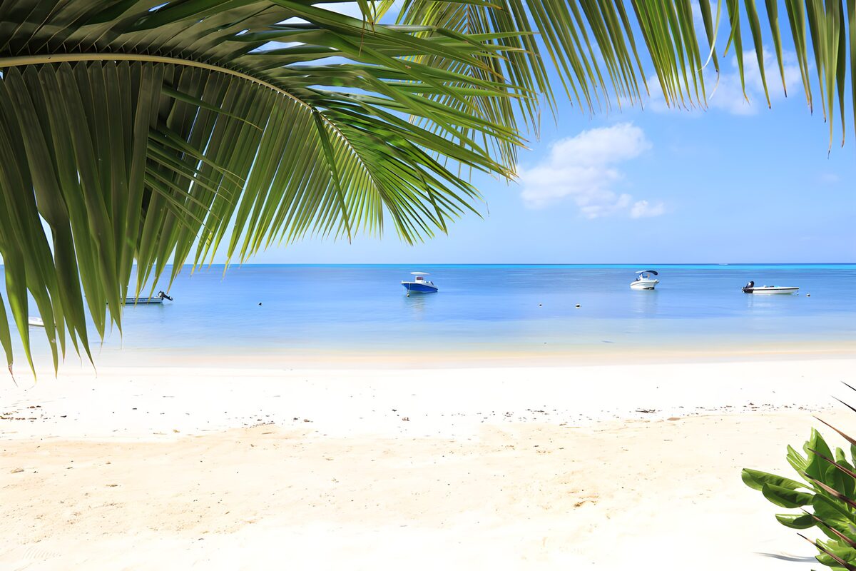 OCCOM4700294: Serene Tropical Beach Escape