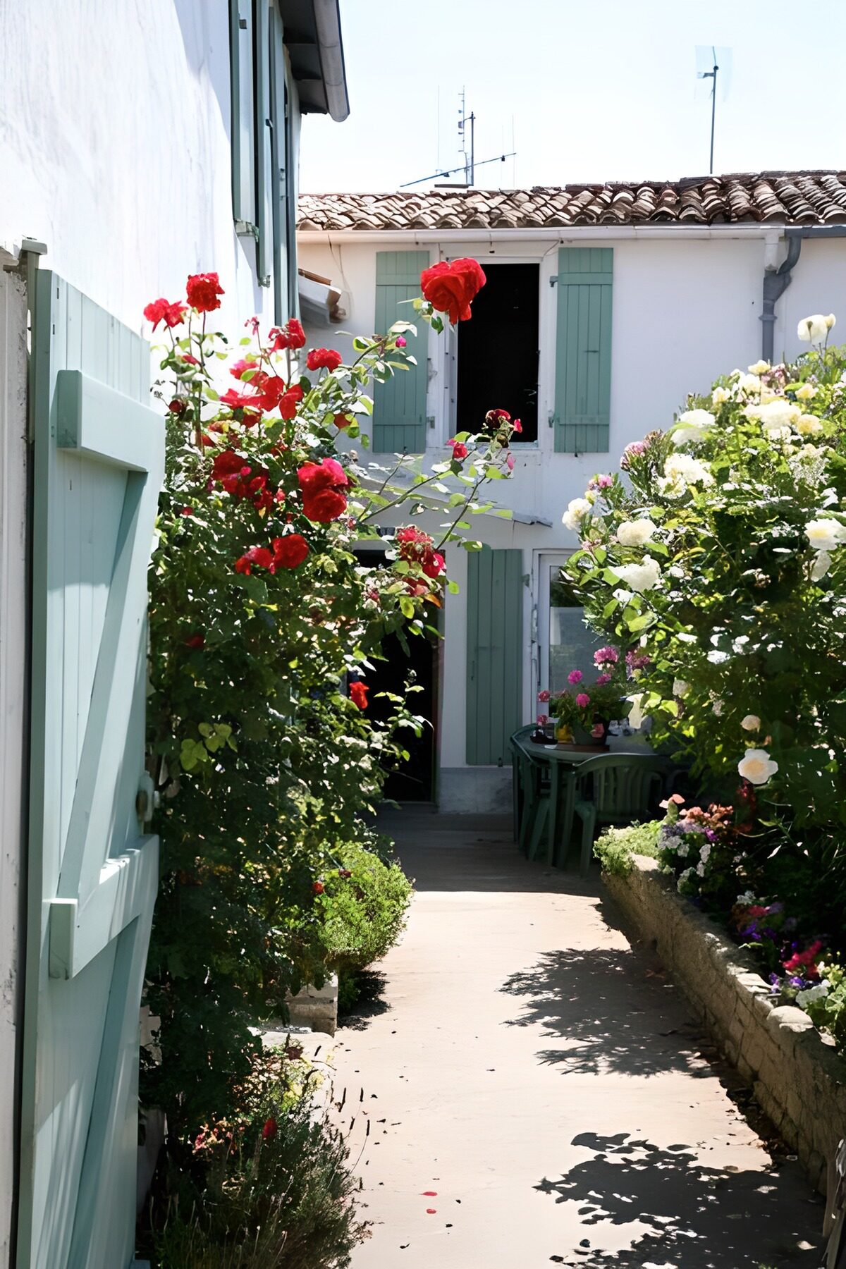 Charming Garden Pathway in Bloom