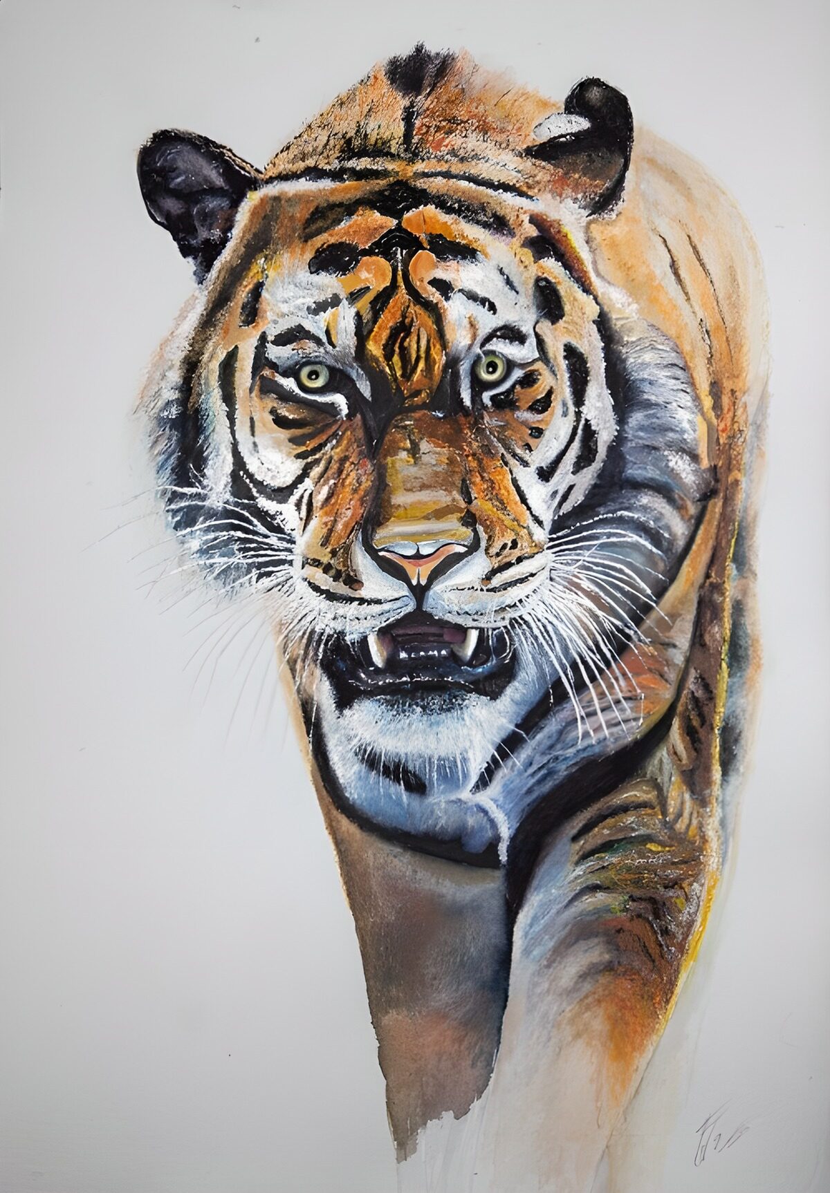 OCCOM3590257: Majestic Tiger Portrait