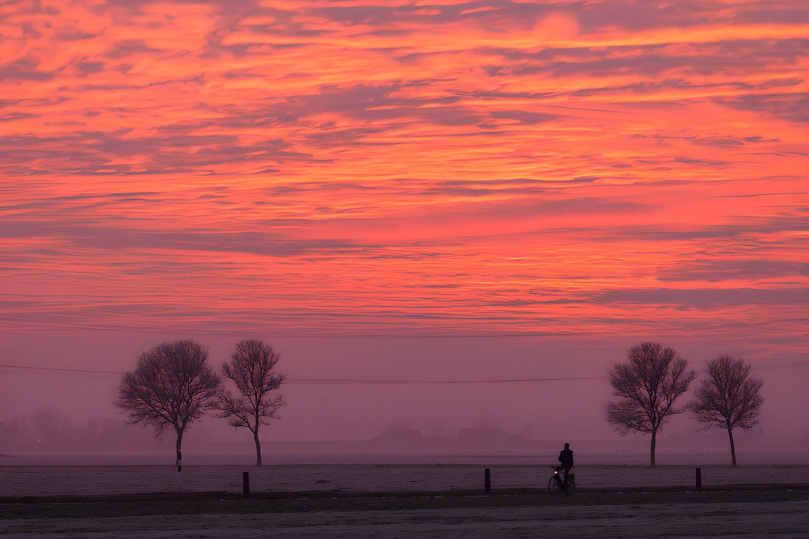 OCCOM6334854: Serene Twilight in a Winter Landscape