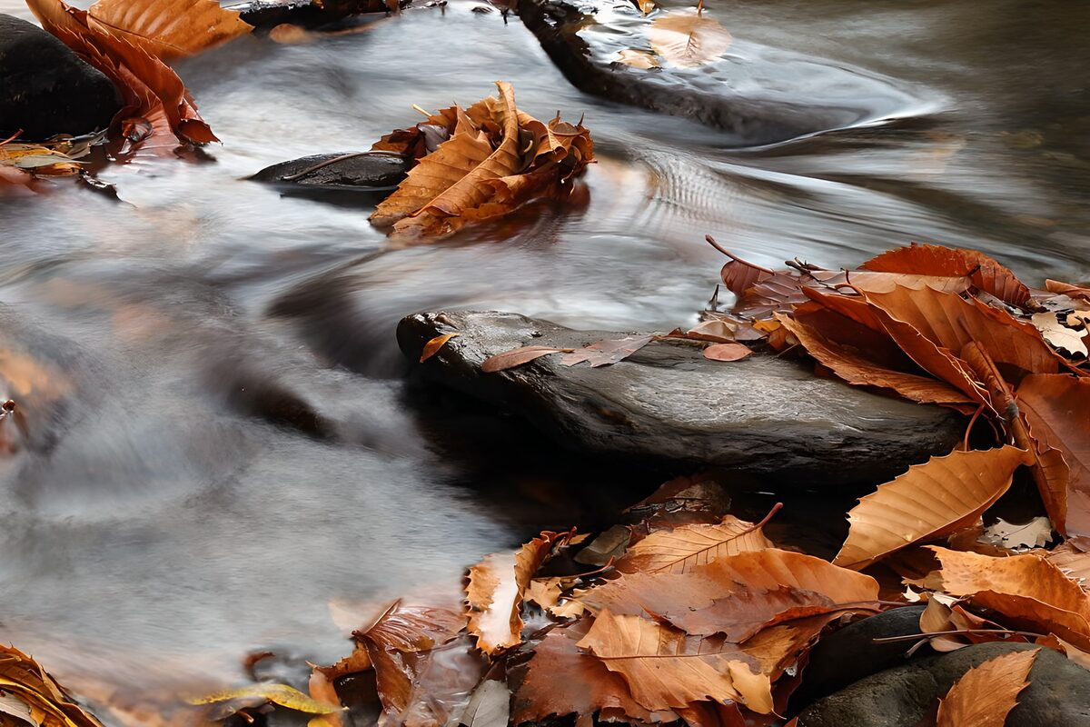 : Gentle Flow of Autumn Leaves