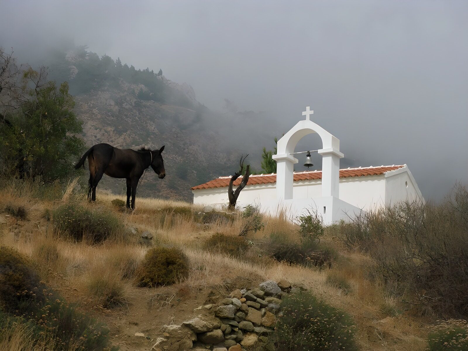 OCCOM4282240: Serene Landscape with Church and Horse