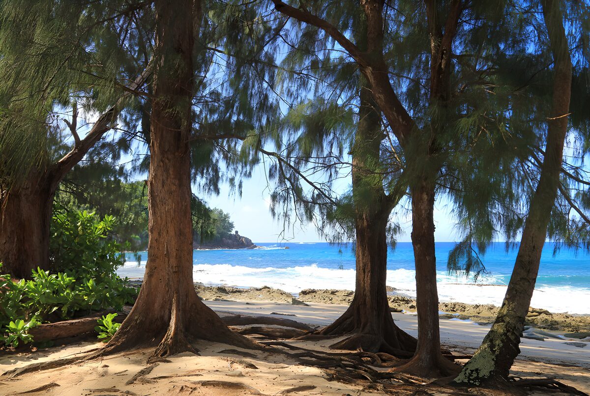 OCCOM3828292: Serene Coastal Escape