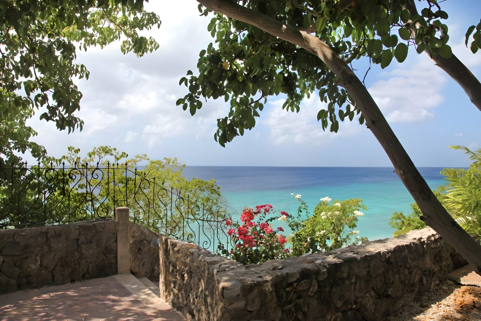 OCCOM4421410: Serene Coastal View with Vibrant Nature