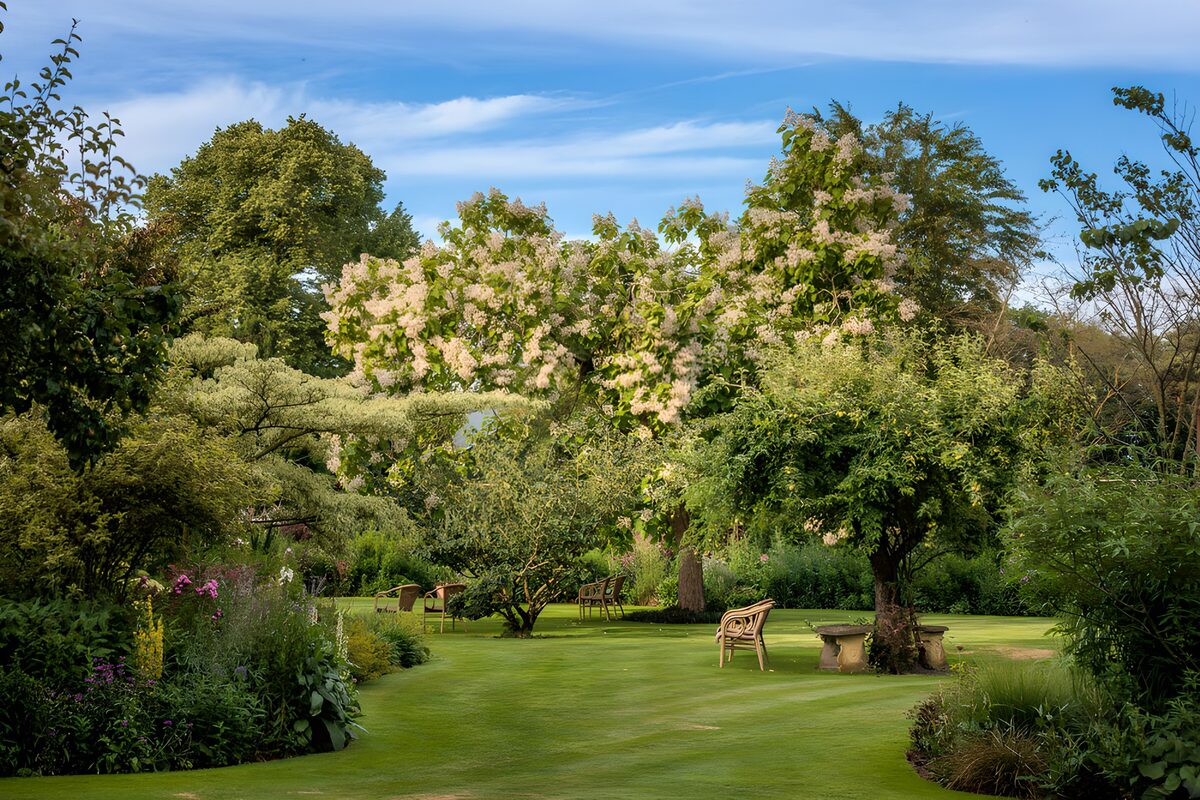 Sunlit Garden with Wooden Benches