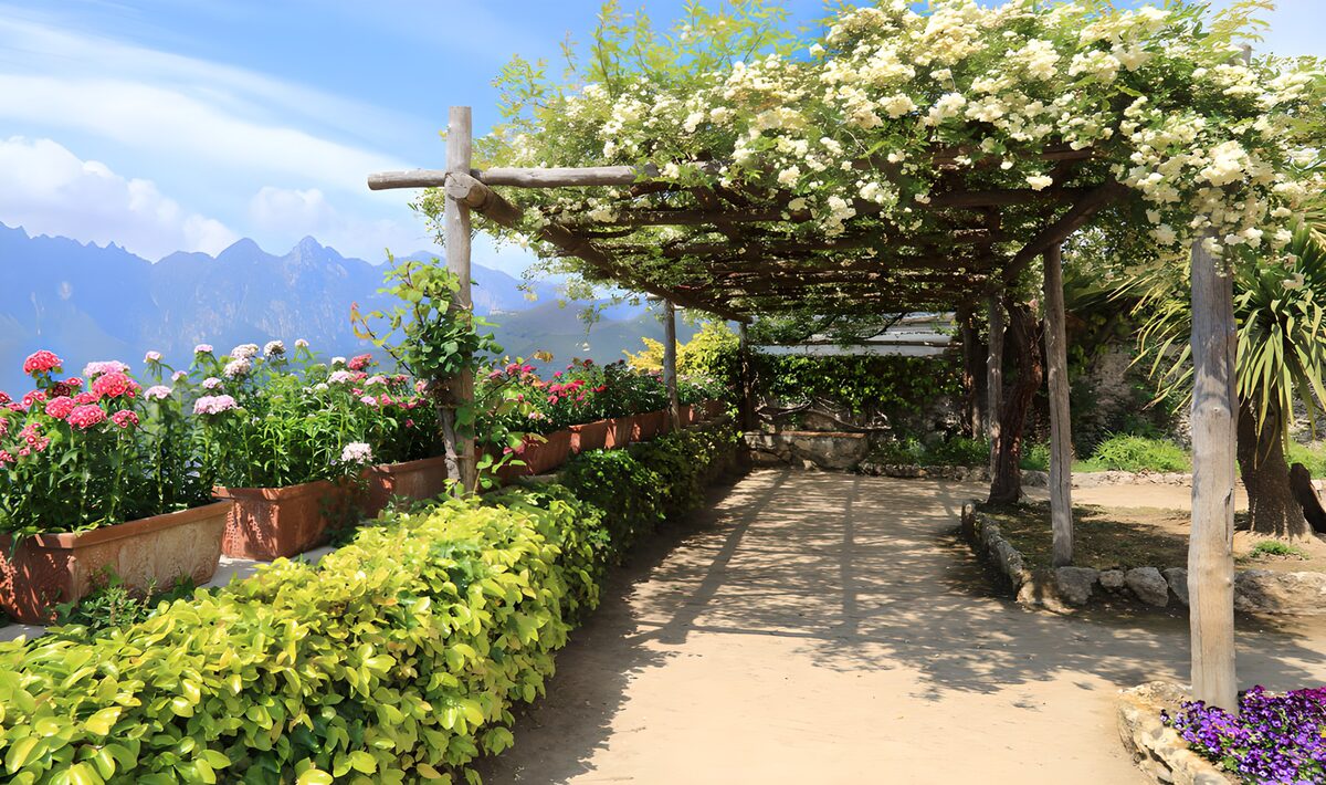 OCCOM3884457: Serene Garden Pathway