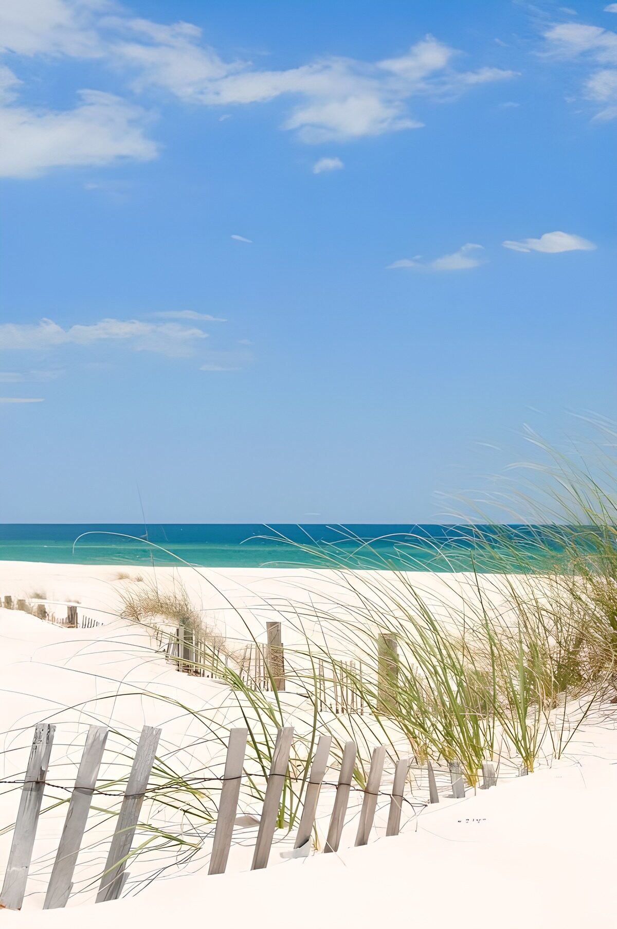 Tranquil Beach Scene with Dune Fencing