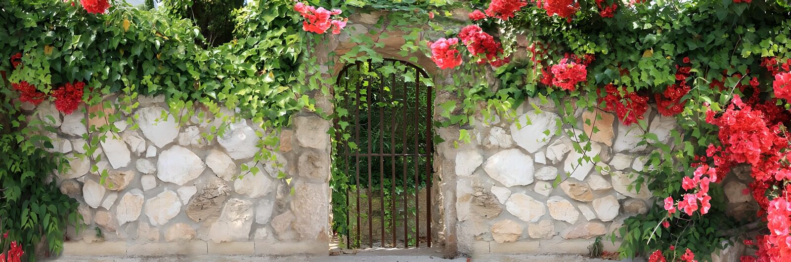 OCCOM8202459: Enchanted Garden Gate