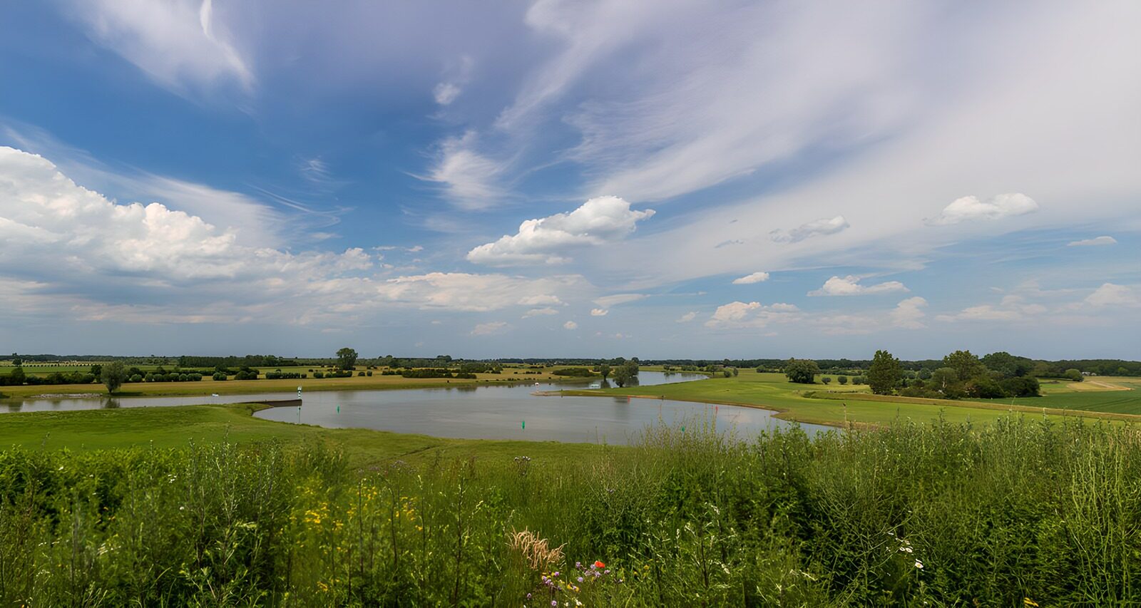 OCCOM3145662: Serene Summer Landscape with Waterbody